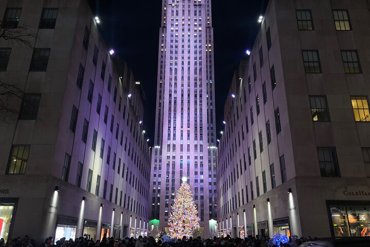 Artful Holiday Lights & Sights - Photo 1 of 20